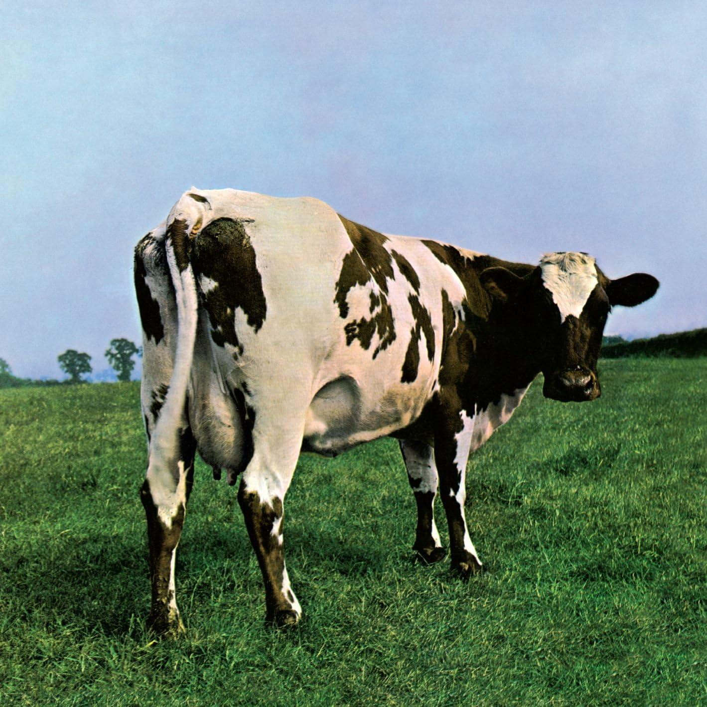 Pink Floyd - Atom Heart Mother (180g/Gat/2016)