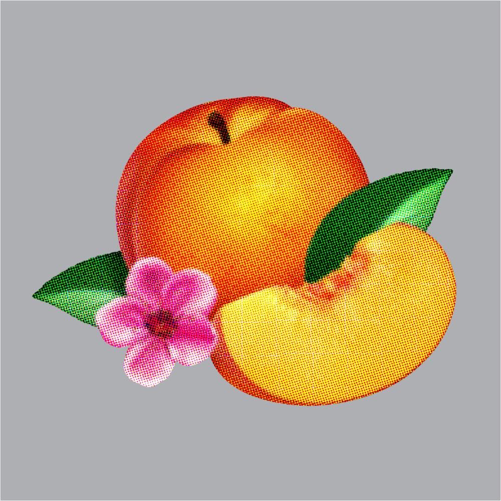 Phoenix – Bankrupt!