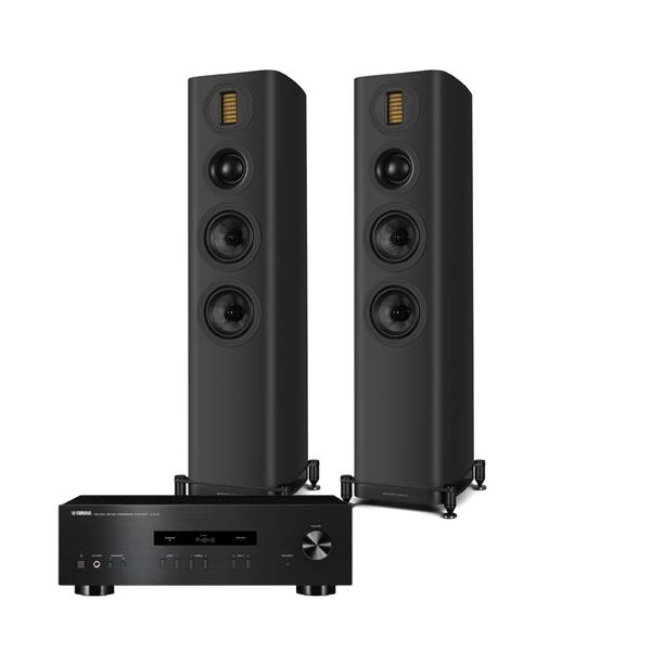 Yamaha A-S201   Amplifier Wharfedale EVO 5.3 Floorstanding Speakers