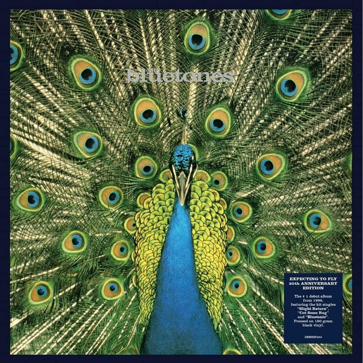 The Bluetones – Expecting to Fly (25th Anniversary)