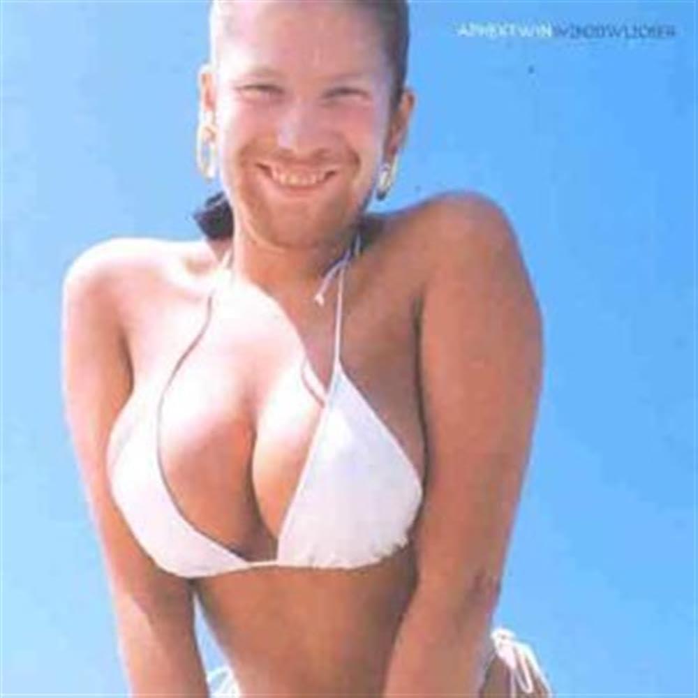 Aphex Twin - Windowlicker 