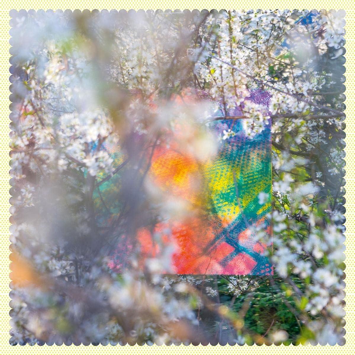 Four Tet - Sixteen Oceans (2LP/Gat)