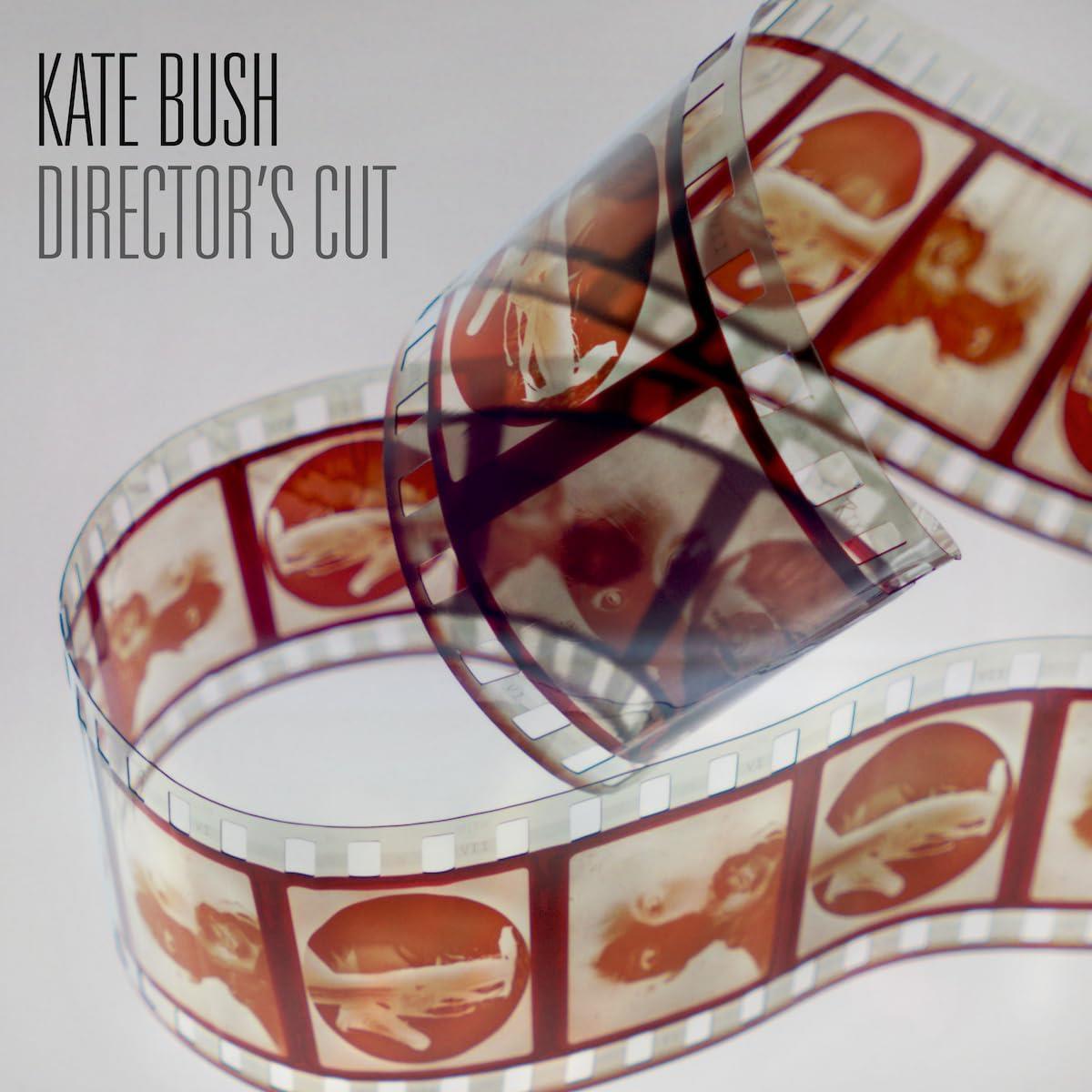 Kate Bush - Director's Cut (2018 Remaster) (2LP) HAZY RED