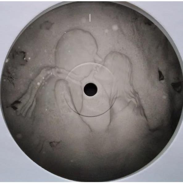 Kate Bush - 50 Words for Snow (2018 Remaster, 2LP/White Vinyl)