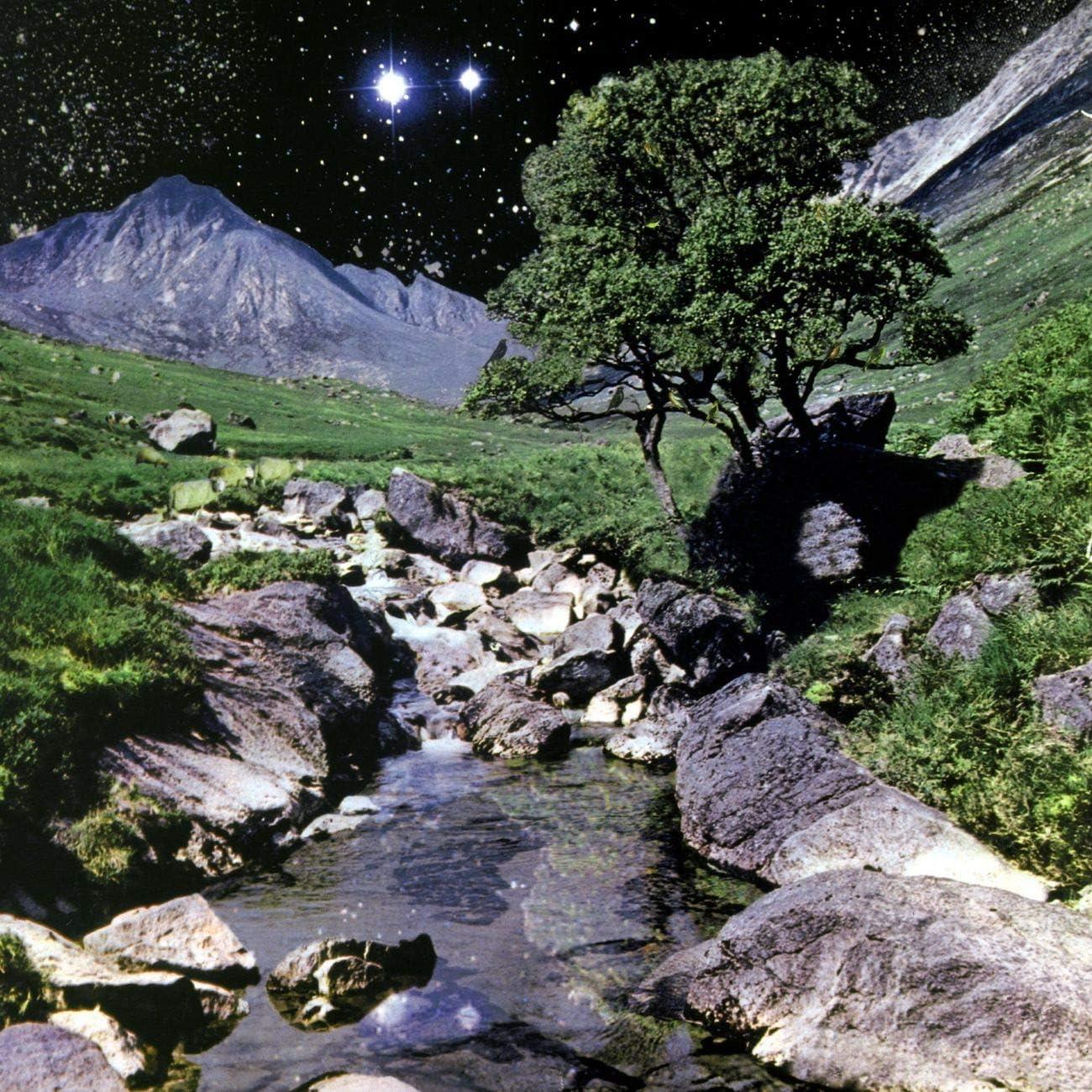 The Beta Band - The Beta Band (2LP)