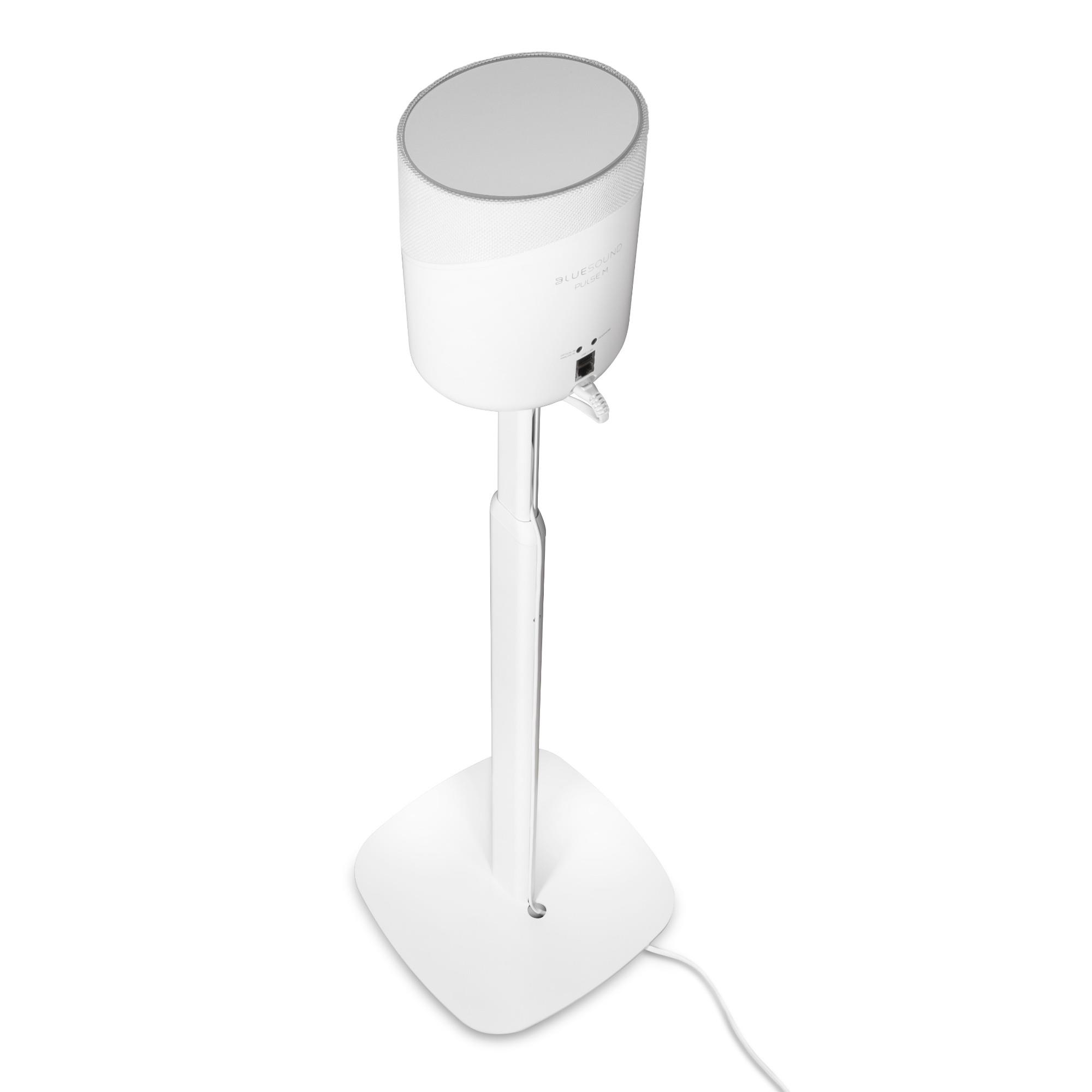 Bluesound FS230 PULSE M & FLEX Stand