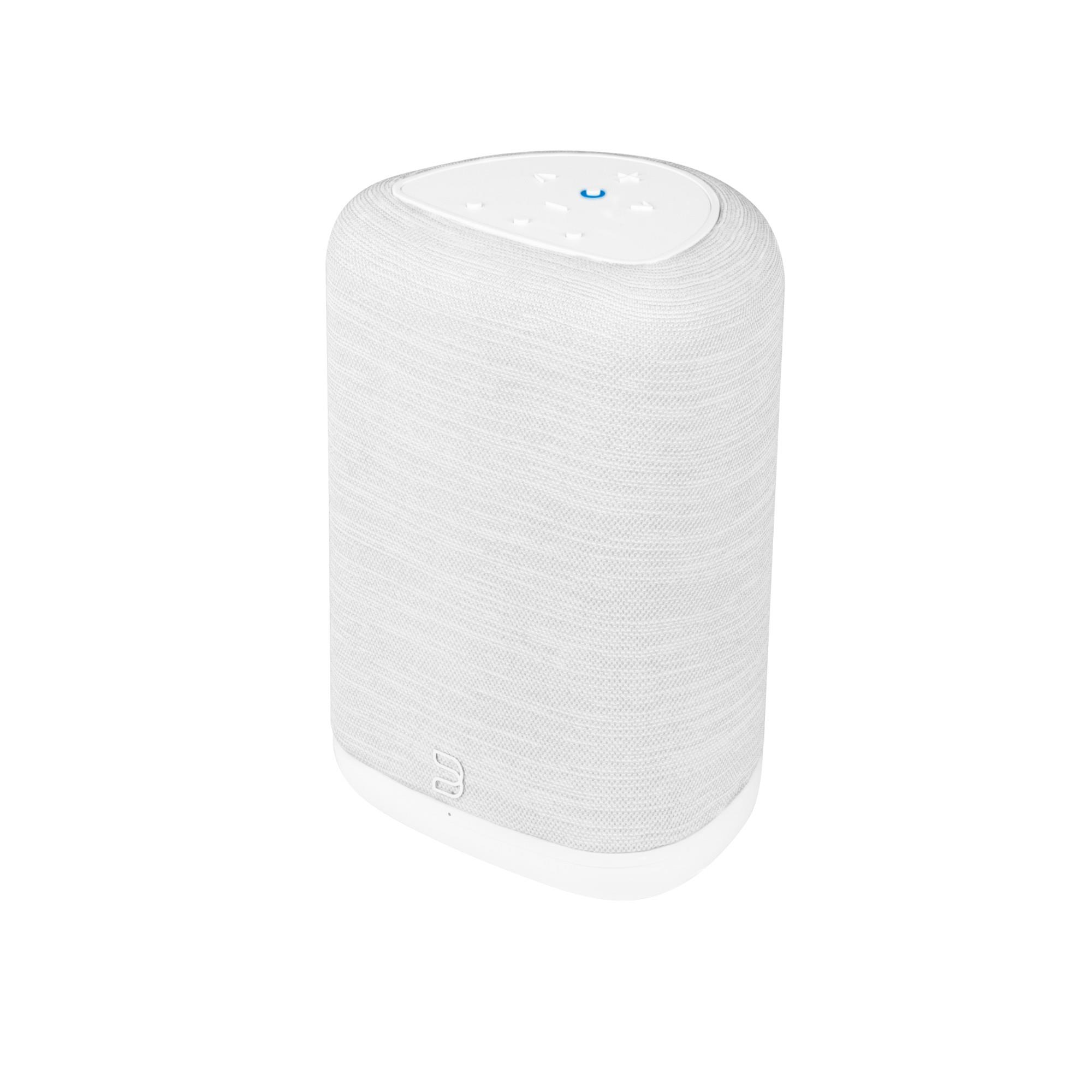 Bluesound PULSE FLEX 2i Hi-Res Wireless Speaker