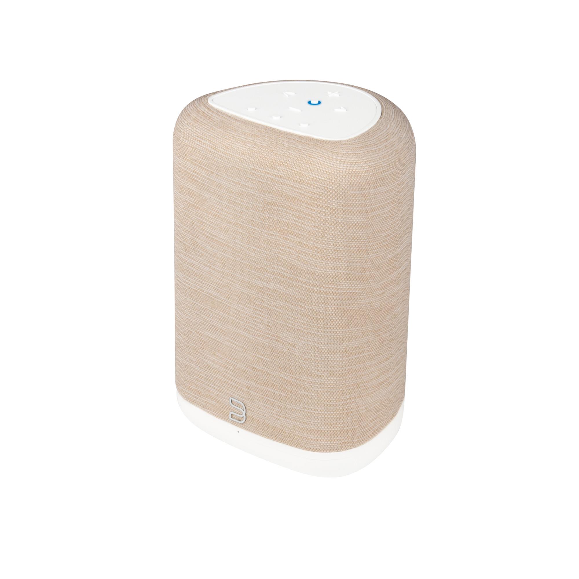 Bluesound PULSE FLEX 2i Hi-Res Wireless Speaker