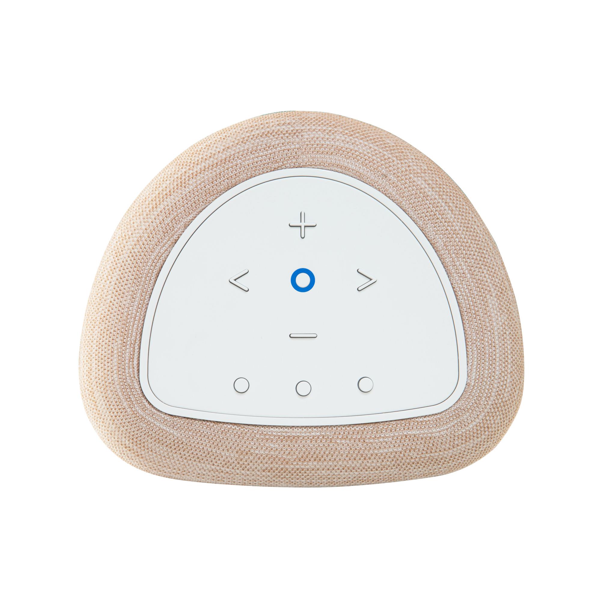 Bluesound PULSE FLEX 2i Hi-Res Wireless Speaker