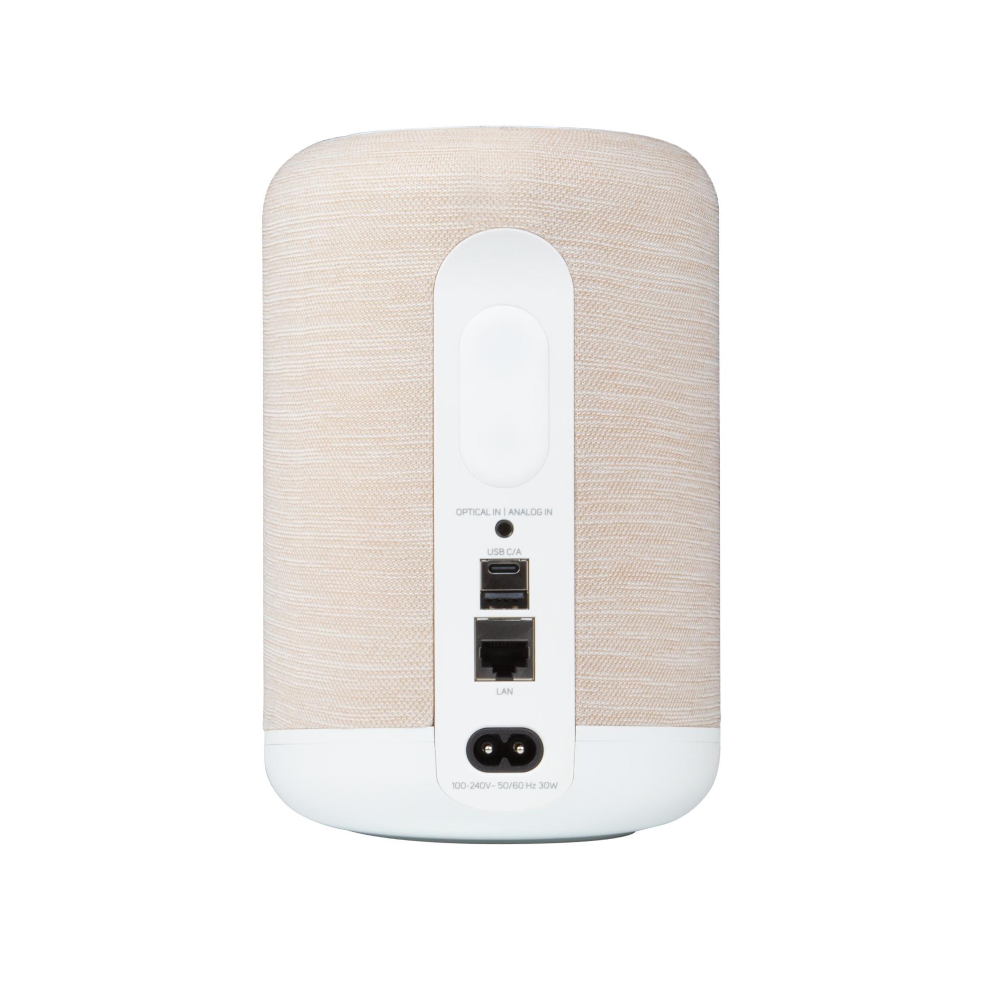 Bluesound PULSE FLEX 2i Hi-Res Wireless Speaker