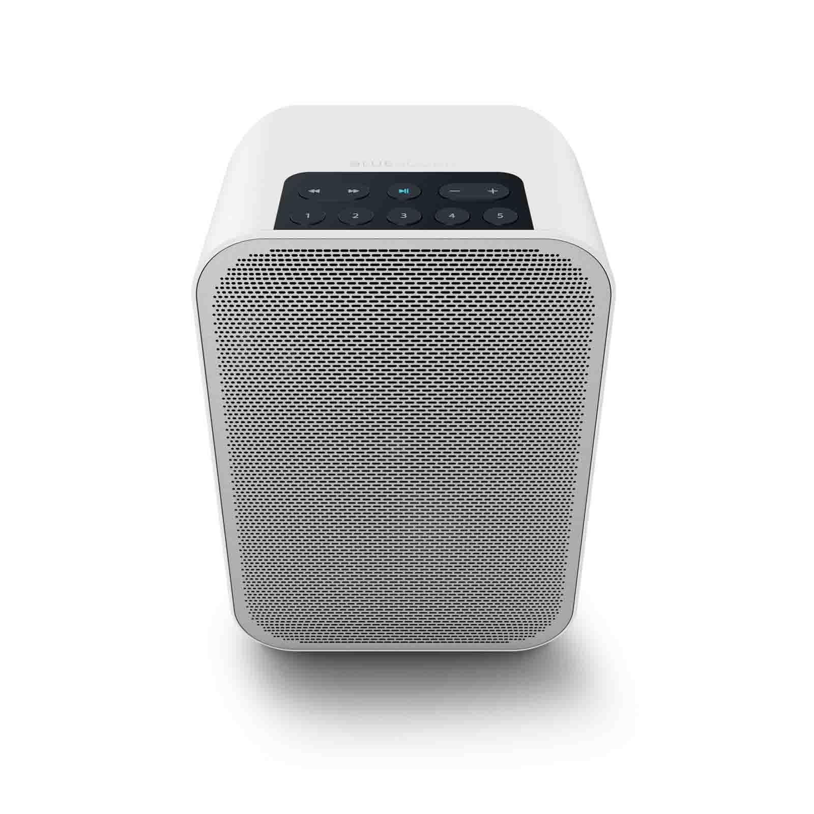 Bluesound PULSE FLEX 2i<br>Hi-Res Wireless Speaker
