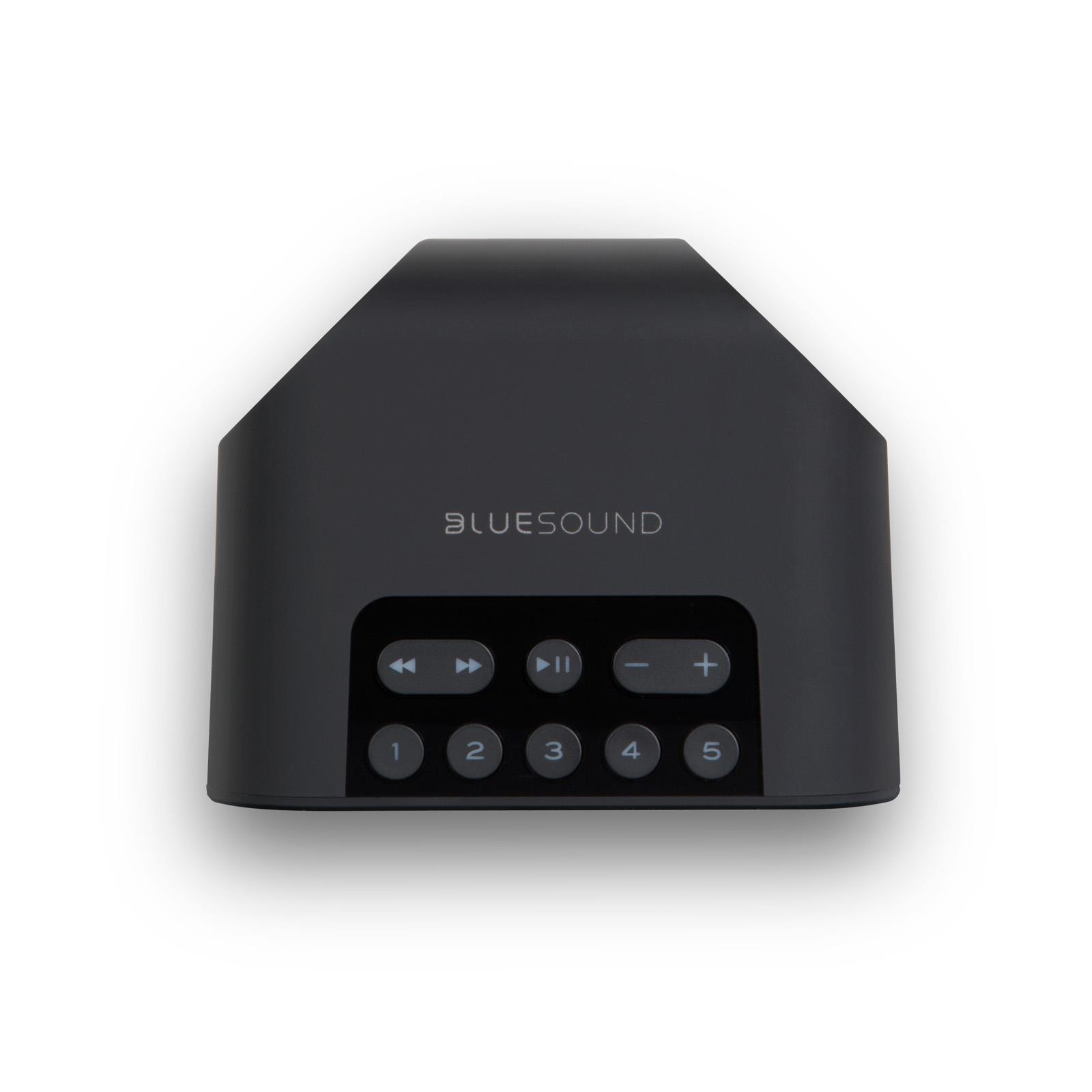 Bluesound PULSE FLEX 2i<br>Hi-Res Wireless Speaker
