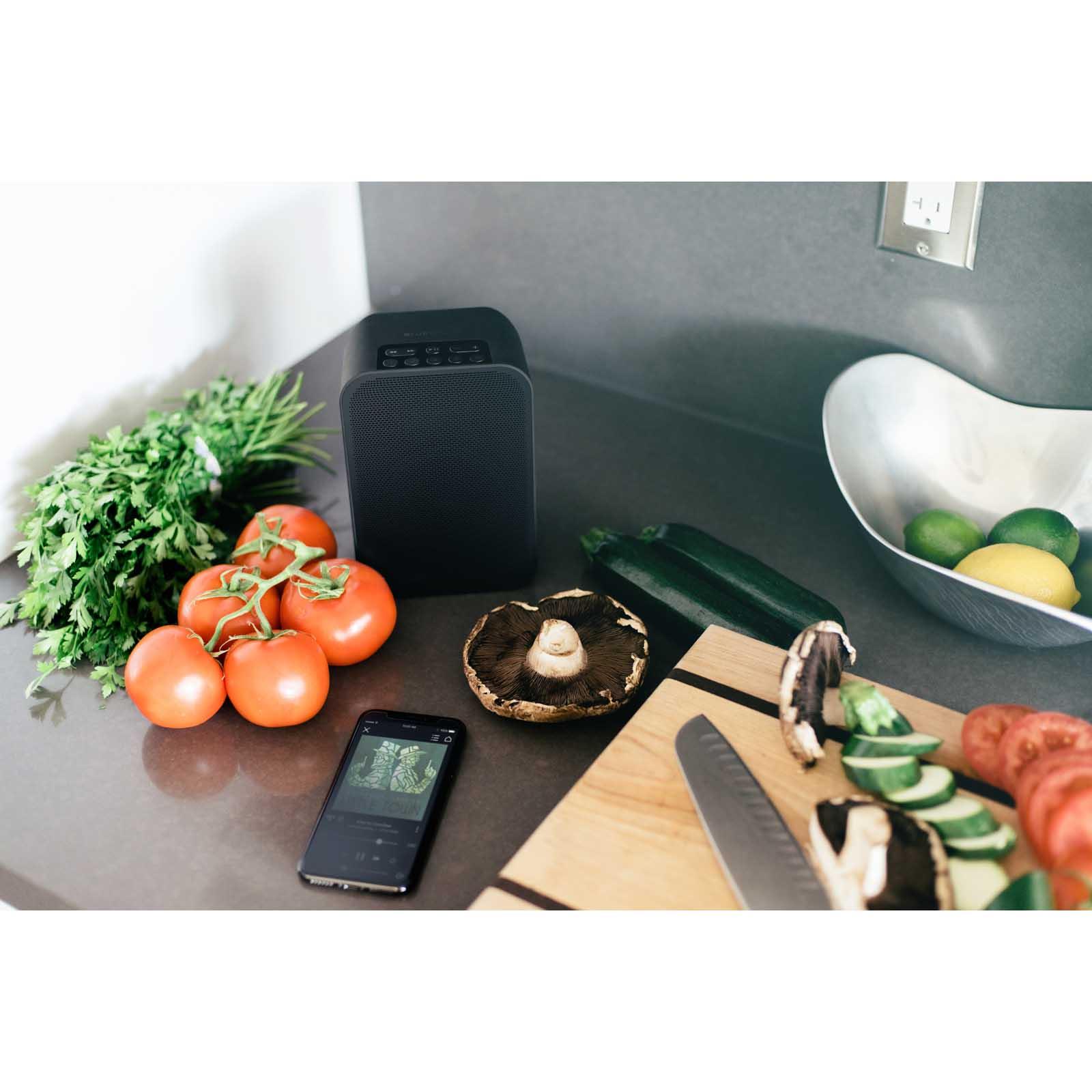 Bluesound PULSE FLEX 2i<br>Hi-Res Wireless Speaker