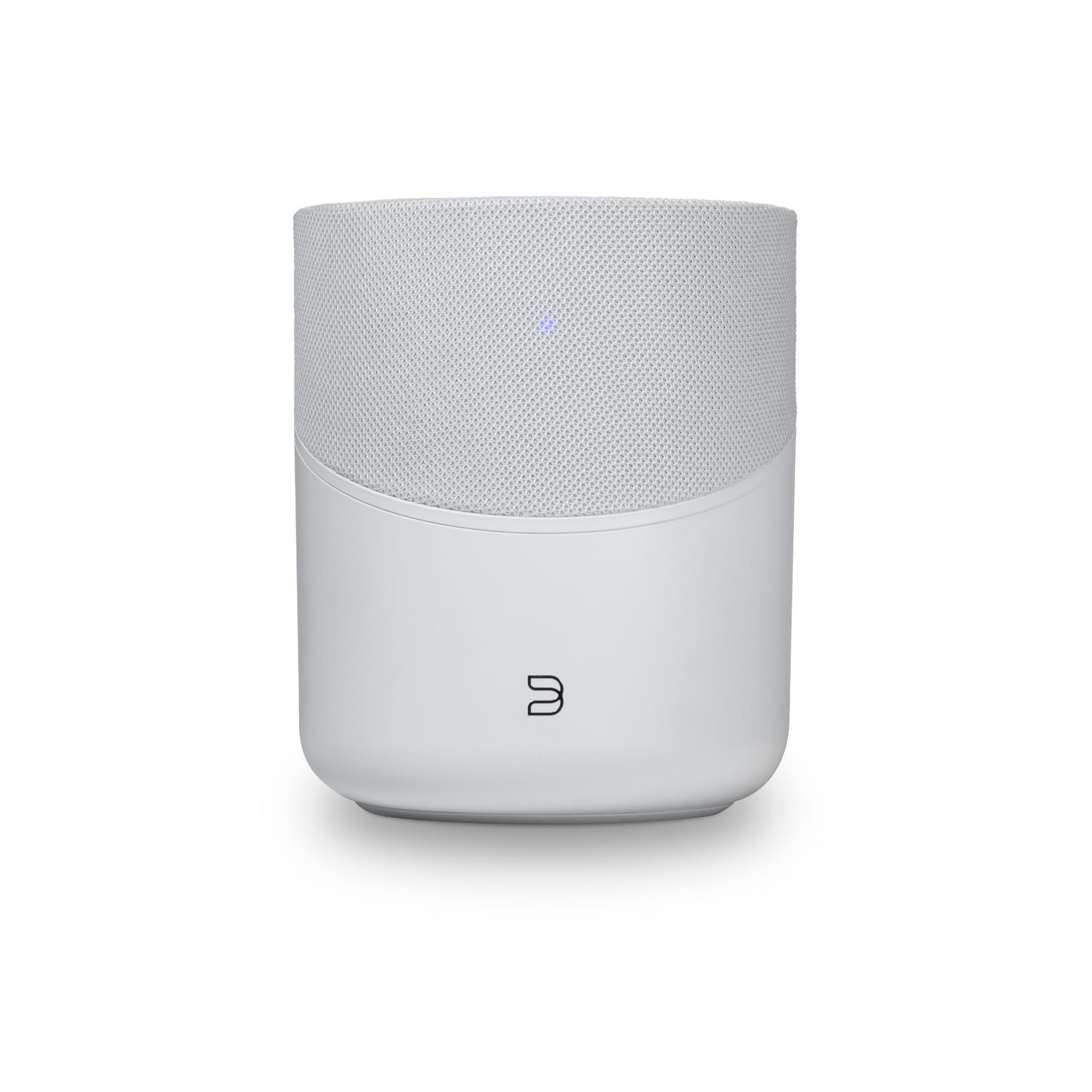 Bluesound PULSE FLEX 2i<br>Hi-Res Wireless Speaker