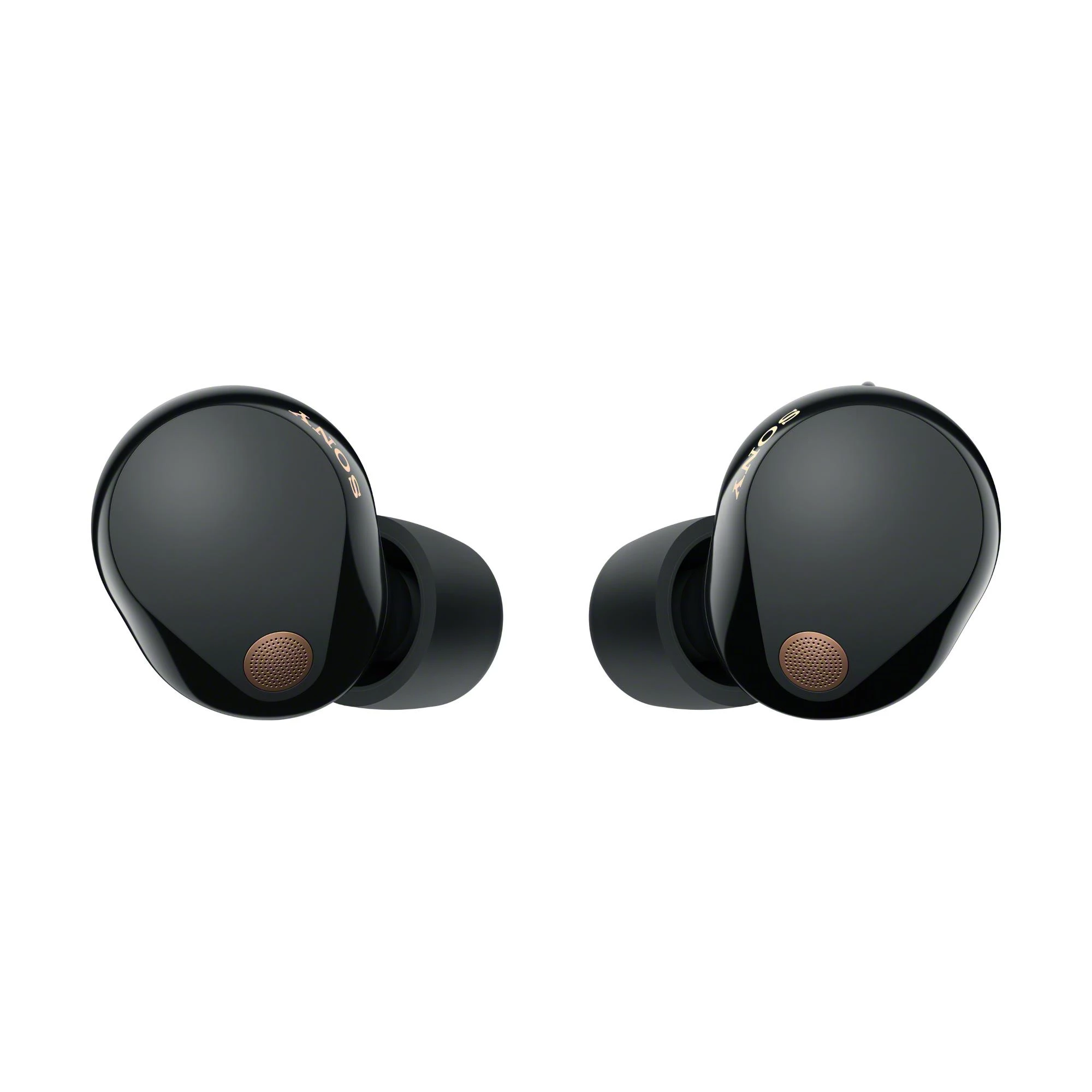 Sony WF-1000XM5 | WF1000XM5 | True Wireless In-Ear Headphones