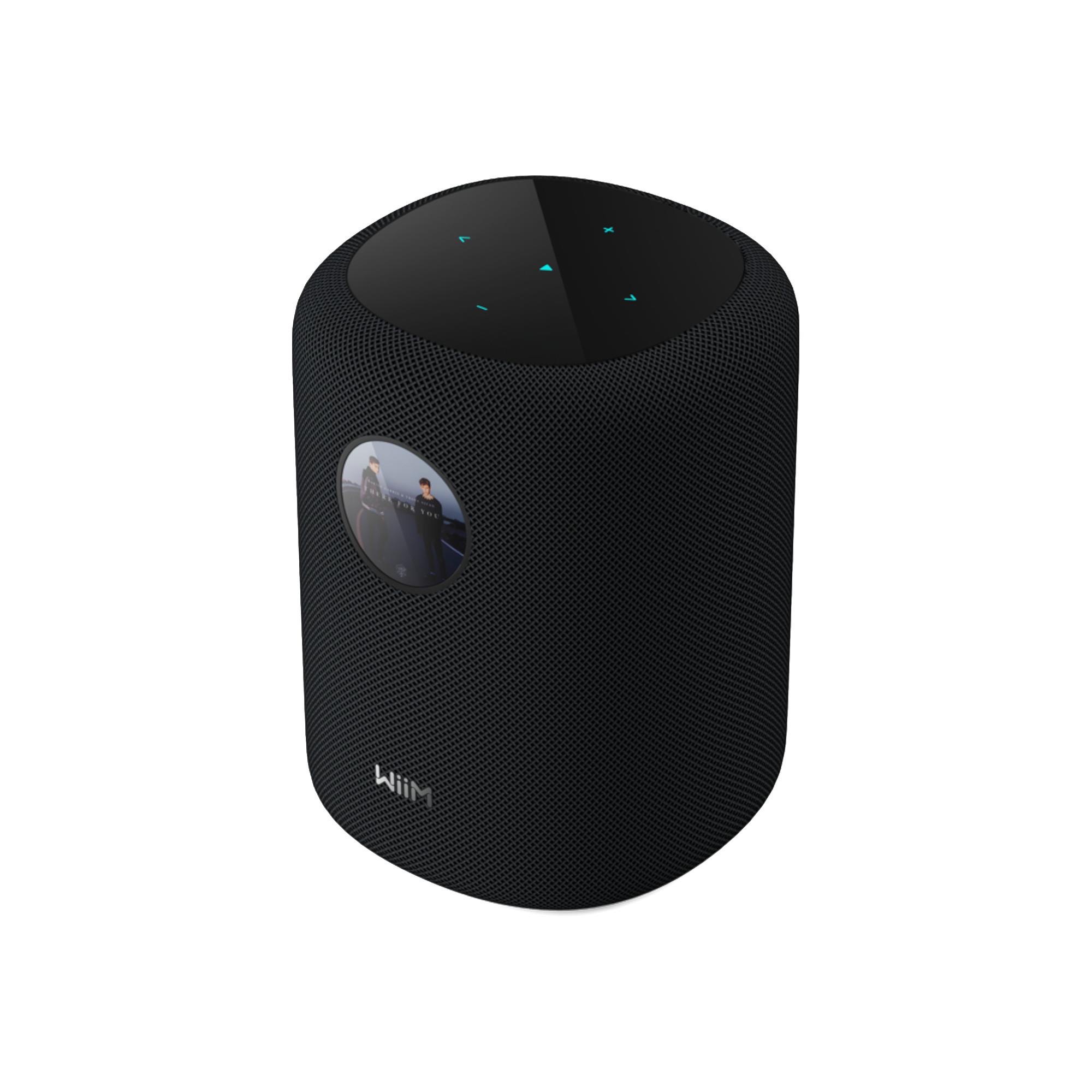 WiiM Sound Wireless Speaker