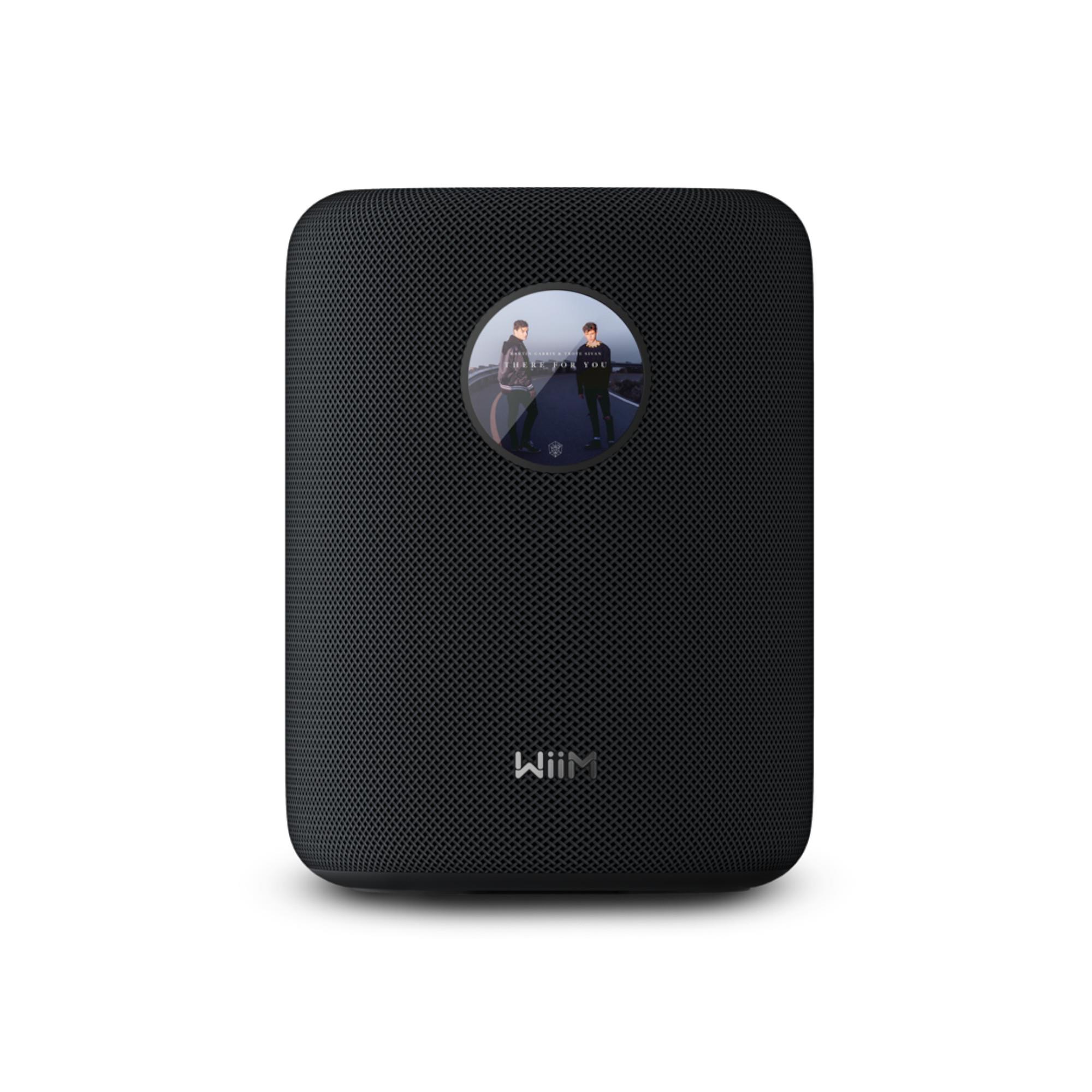 WiiM Sound Wireless Speaker
