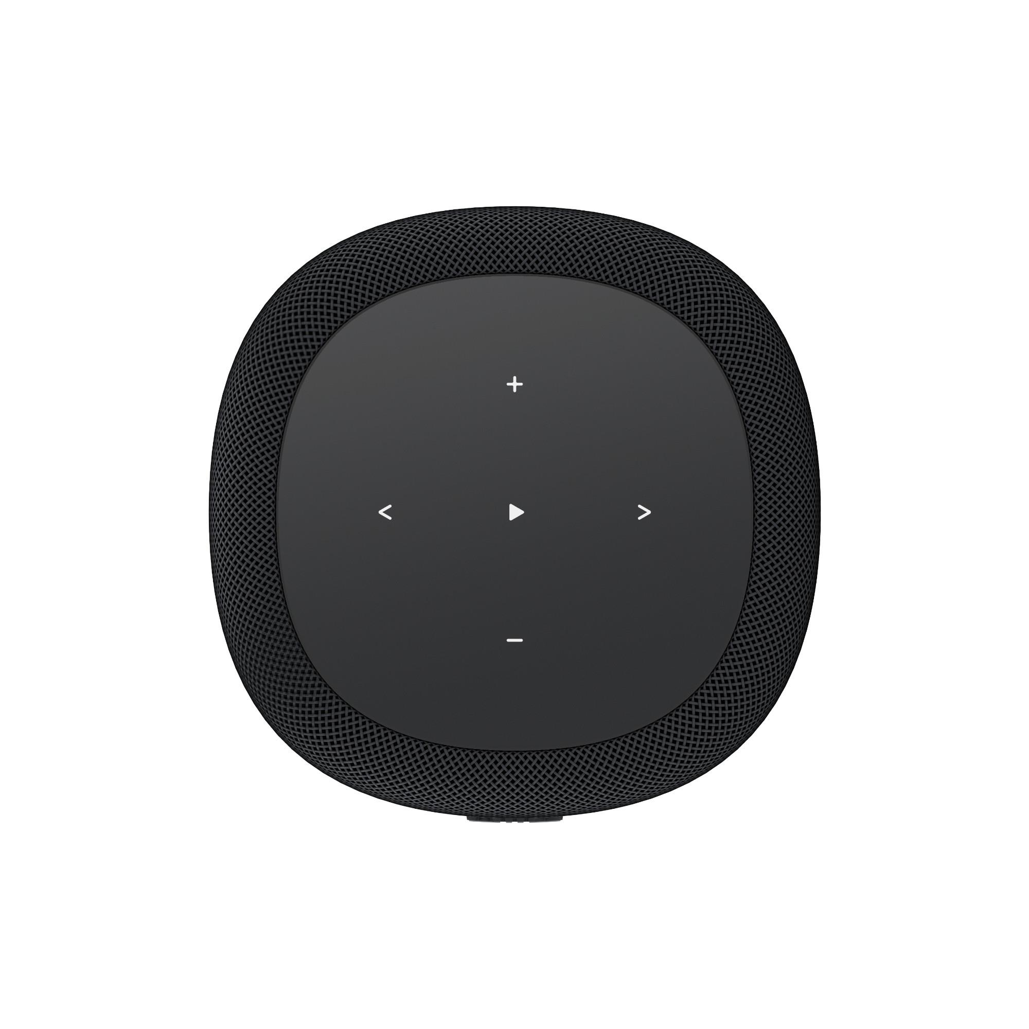 WiiM Sound Lite Wireless Speaker