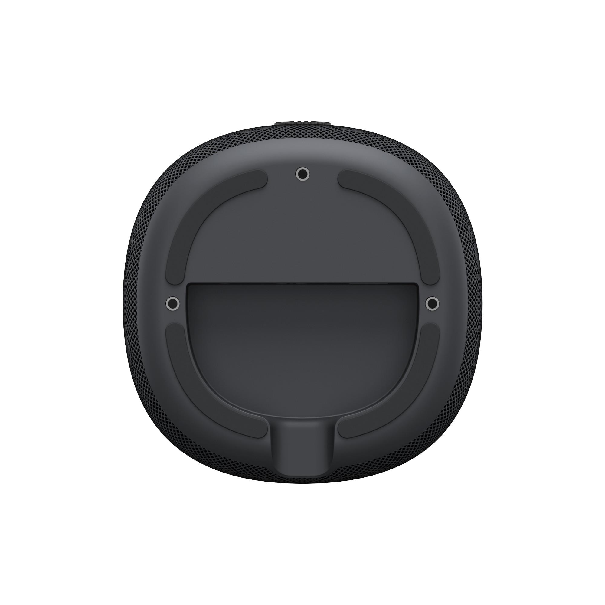 WiiM Sound Lite Wireless Speaker