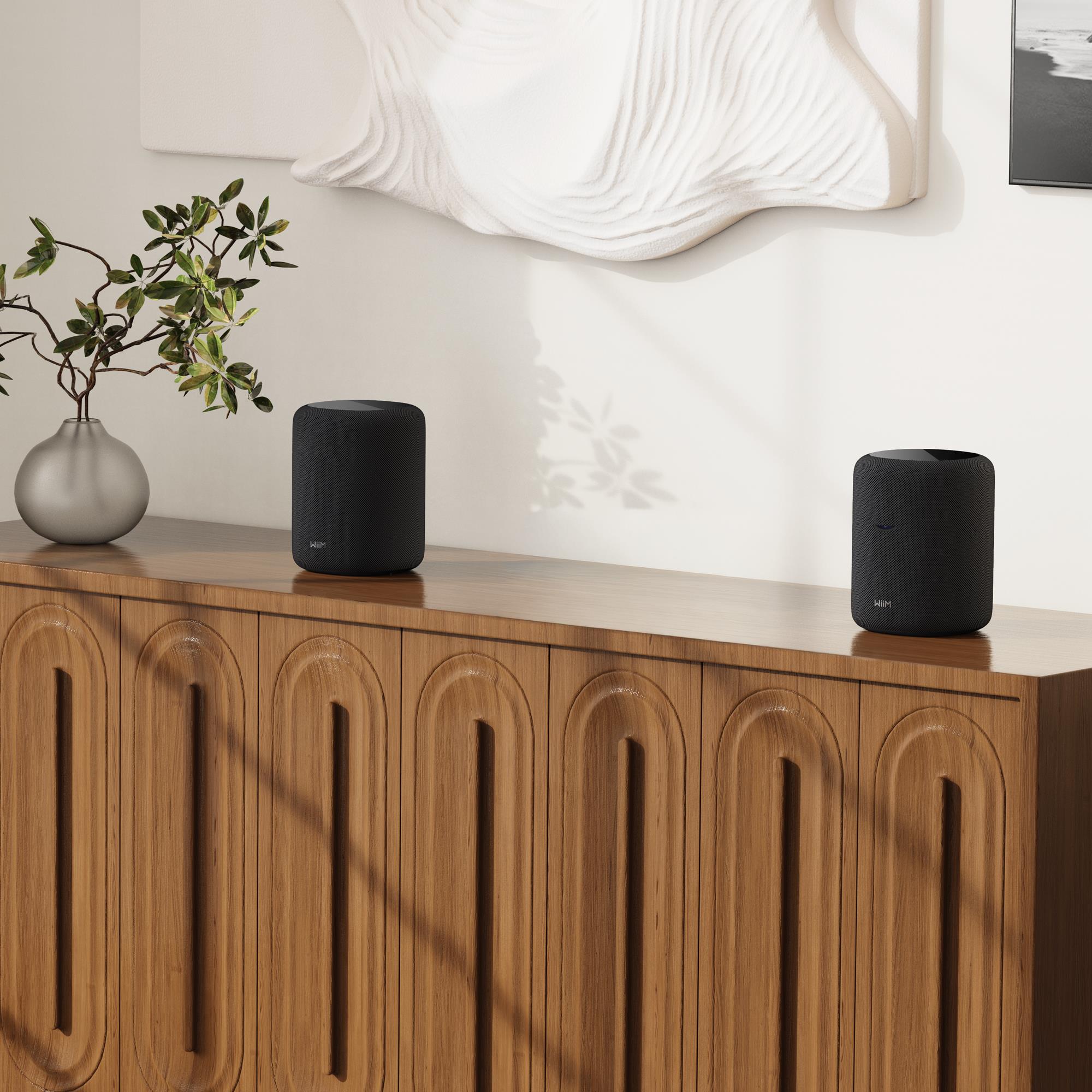 WiiM Sound Lite Twin Pack