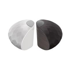 b&w wedge speaker