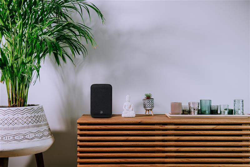 PULSE FLEX Wireless All-In-One Music Streaming Speaker