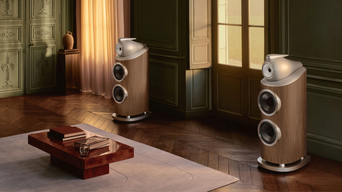 Bowers and Wilkins 801 D5 Speakers