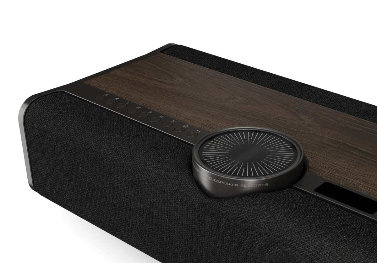 DALI VEGA Wireless Speaker