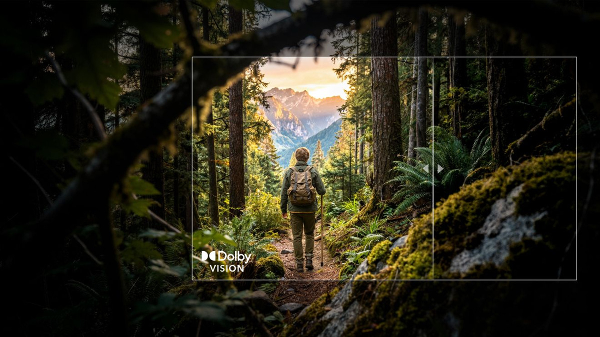 Forest scene with a hiker, a framed comparison area and the Dolby Vision logo.