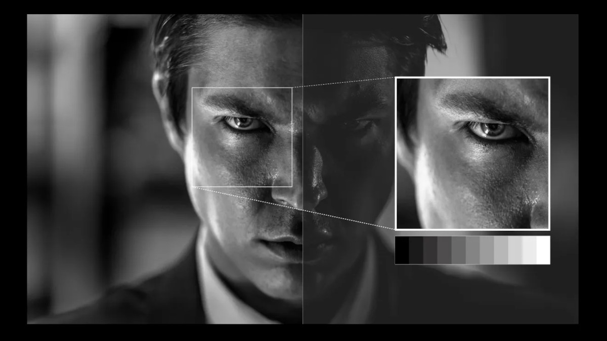 Greyscale facial comparison with a magnified eye area and a strip of grey tones illustrating shadow detail.