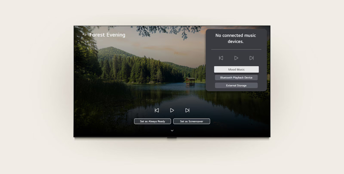 LG C6 Series OLED TV