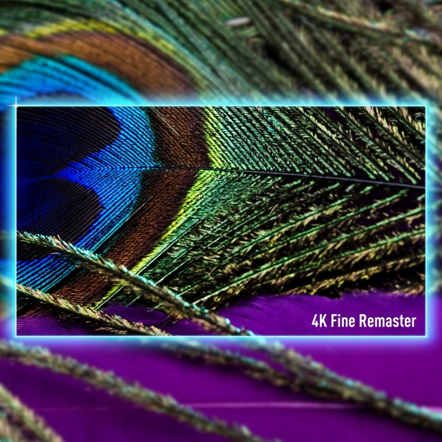Panasonic Z95B 4K OLED TV