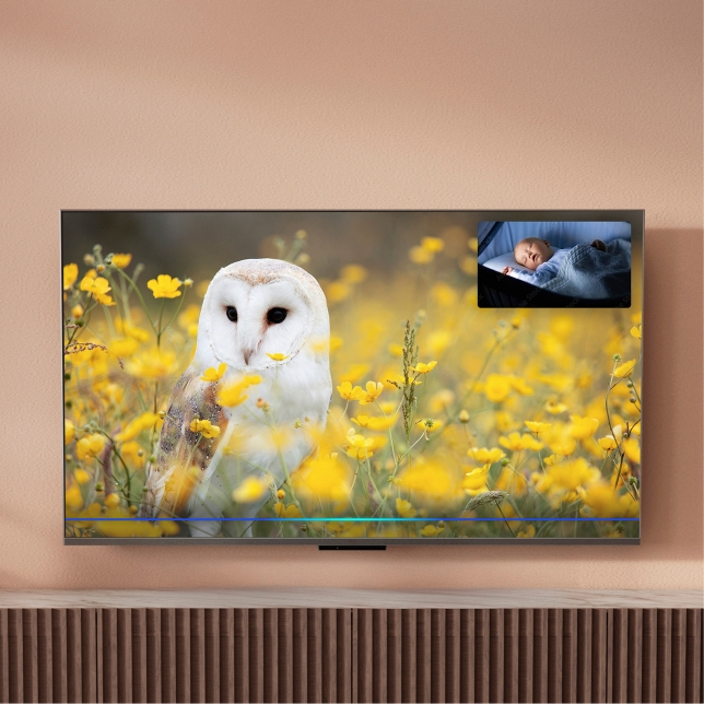 Panasonic Z95B 4K OLED TV