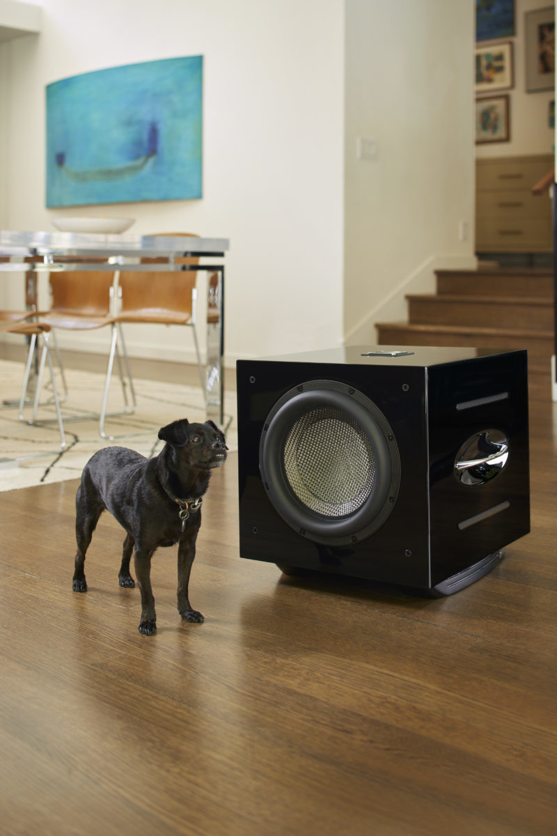 Rel Acoustics Carbon Special Subwoofer