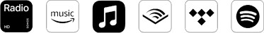 Sonos Era 100 SL Wireless Speaker