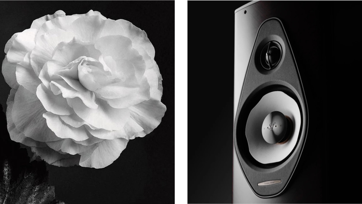 Sonus Faber Olympica G3 I Bookshelf Speakers