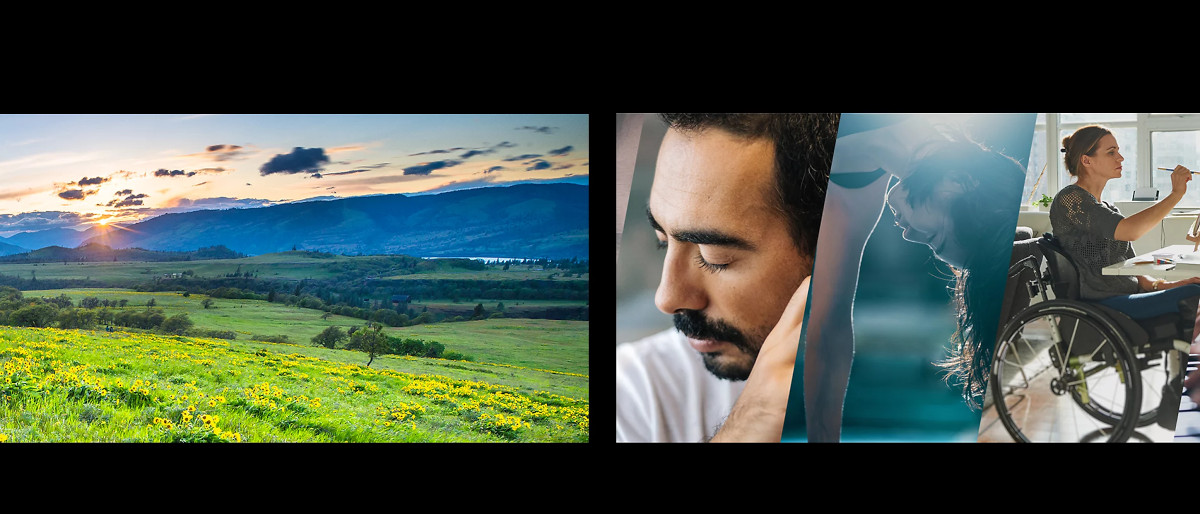 Sony Bravia 8 II 4K OLED TV