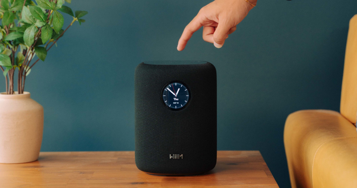 WiiM Sound Wireless Speaker