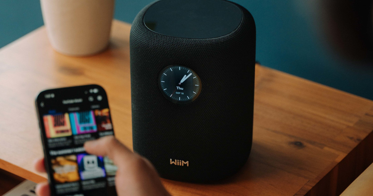 WiiM Sound Wireless Speaker